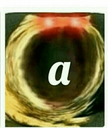 1615279605477