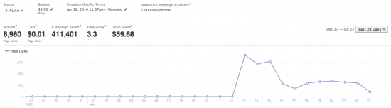 Facebook Ads niche site first campaign 550x152