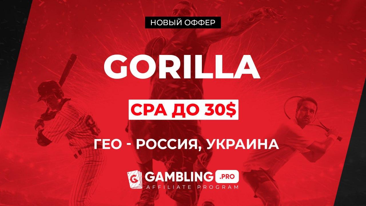 Gorilla