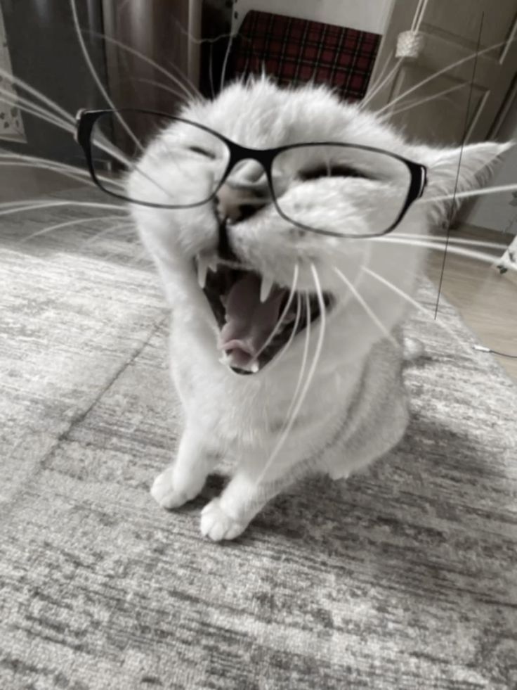Remove image metadata 1fc6414ccb53fa030b8ac03daee46226 68387f90c8e4b