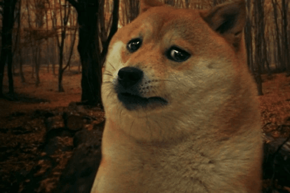  03 03 2020 11 24 42