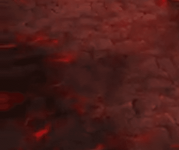 2019-01-09 17_23_48-Asset Library.png