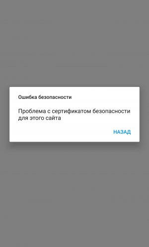 WhatsApp Image 2020-03-31 at 13.15.10.jpeg