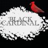 Black Cardinal