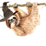 alexsloth13