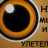 AlexSvider