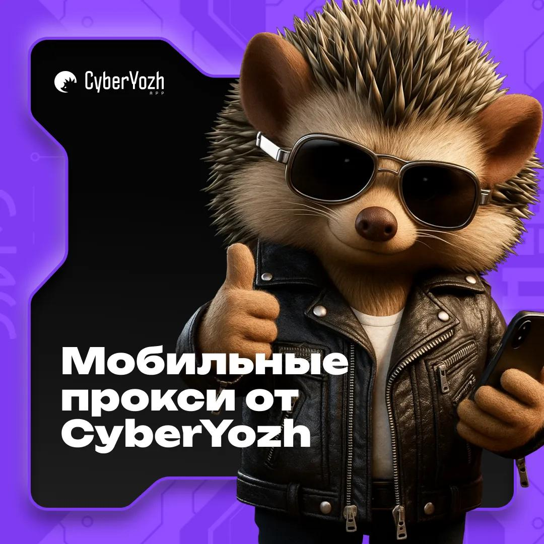 Y0XbmoL.png