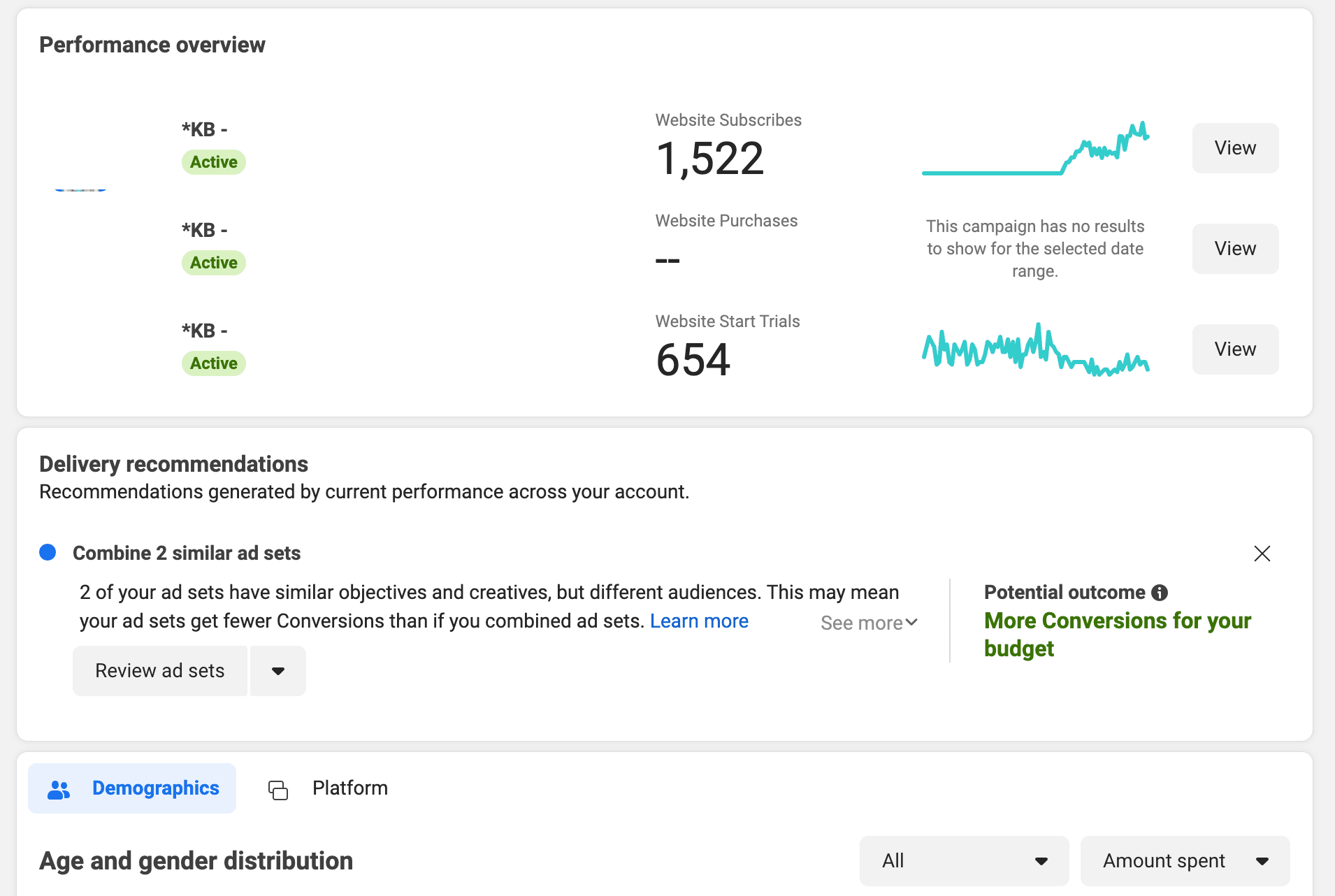 Facebook Ads Manager campaign performance overview