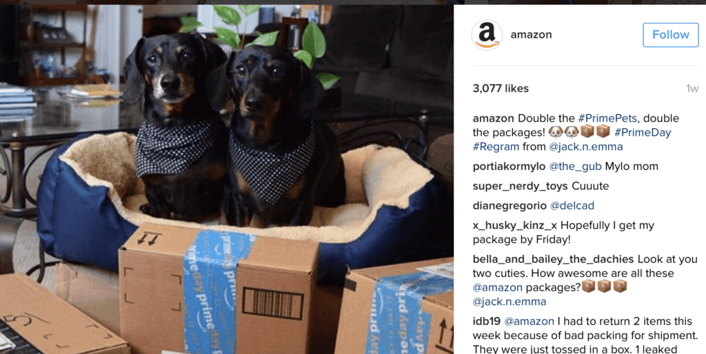 amazon.png