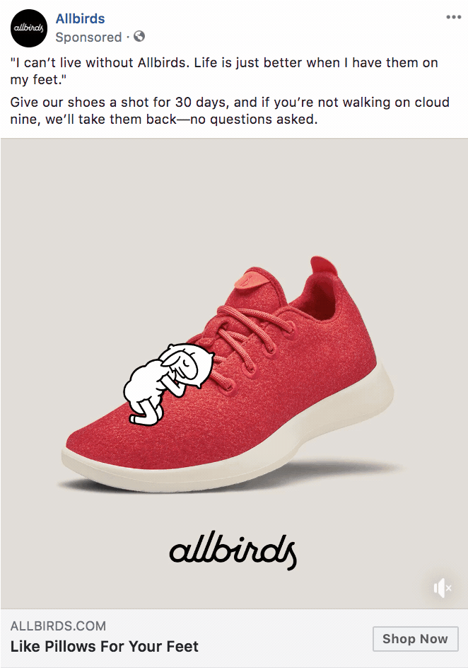 Allbirds-reklama-v-facebook.gif