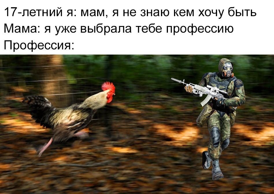 Dwtv1sglz3I.jpg