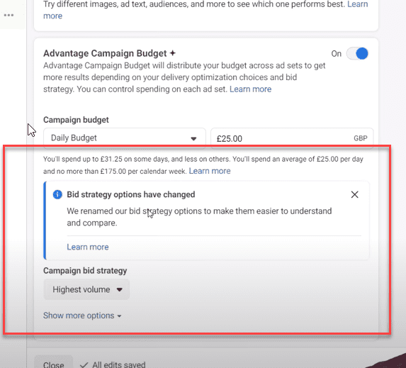 Bid Strategy Options