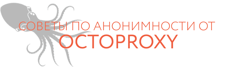 Octoproxy_4.png