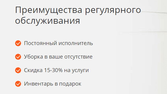 Неудачный. Ниша - клининг