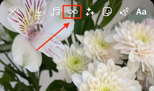 Как сделать бумеранг из live-photo на Айфоне