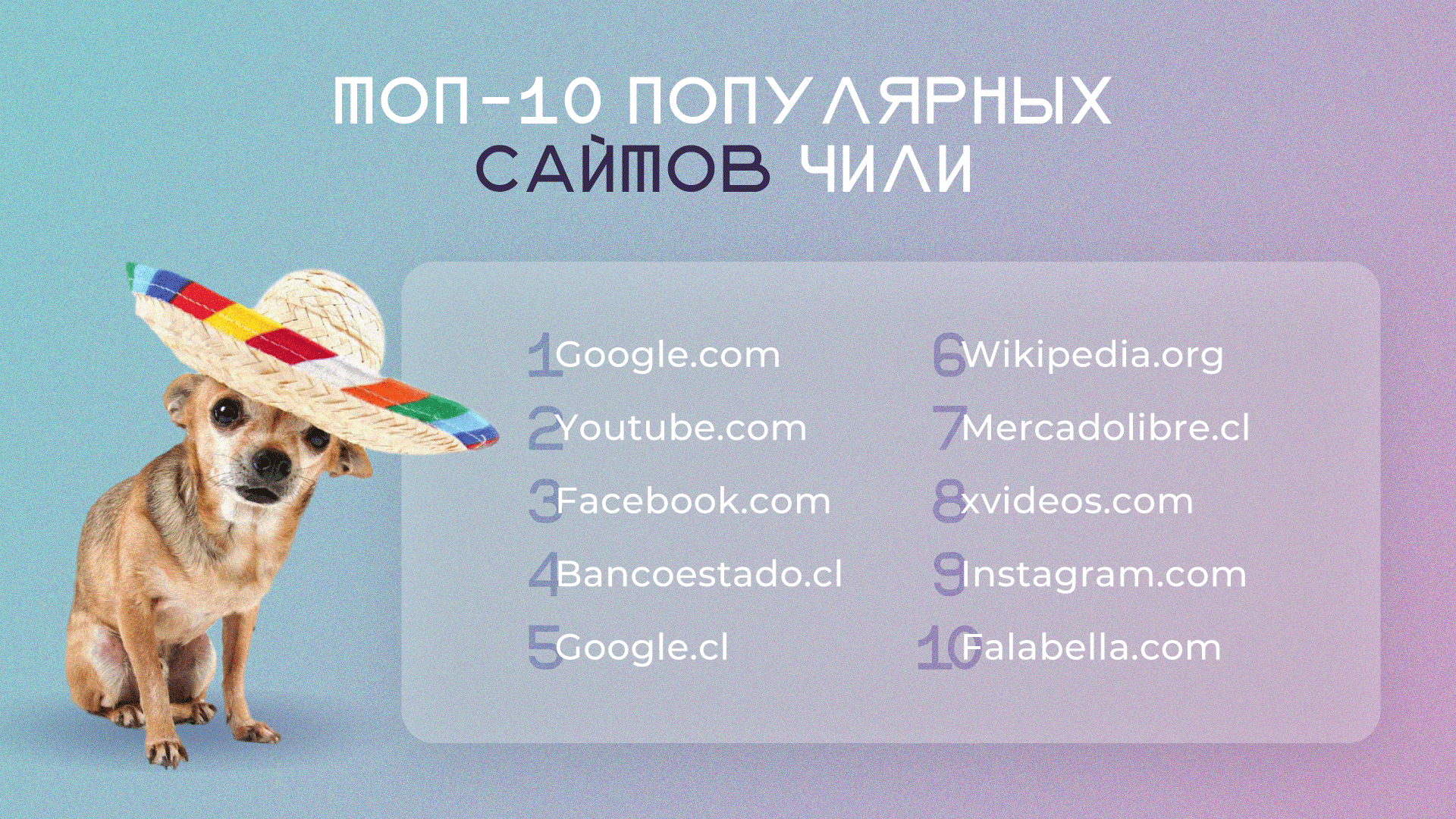 YC-Everad-17-tops_sites-ru.png