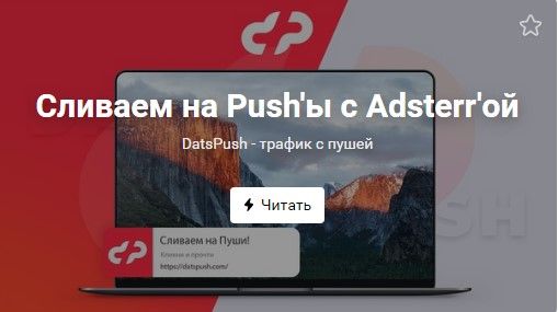 datspush-case5.jpg