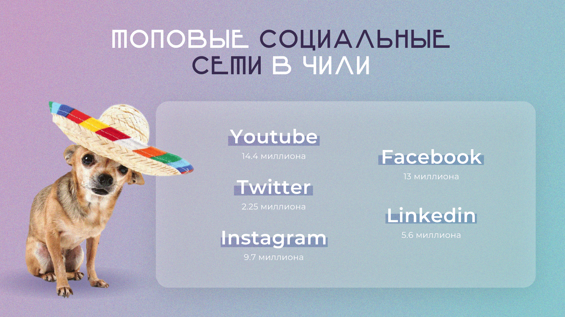 YC-Everad-17-tops_social-ru.png