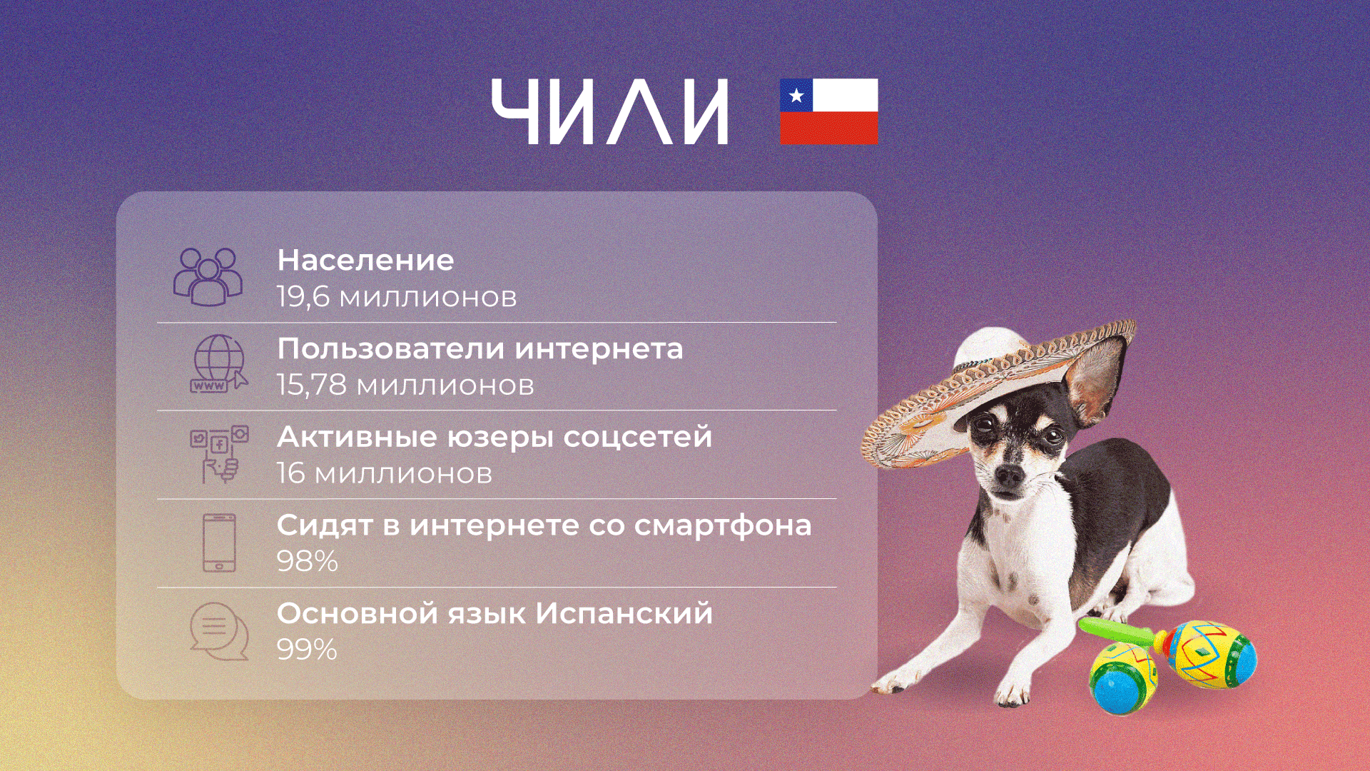 YC-Everad-18-general-information_ru.png