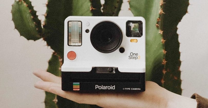 810x420__pola.jpg