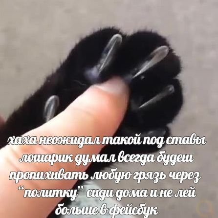 9vDLPu9qmk4.jpg