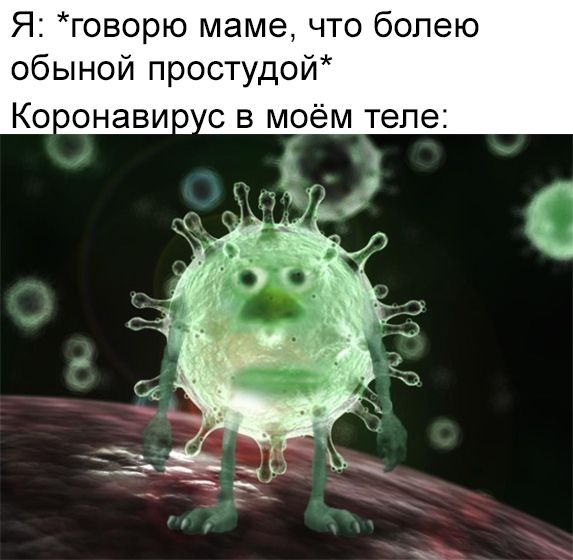 6Kke5fC0L4w.jpg