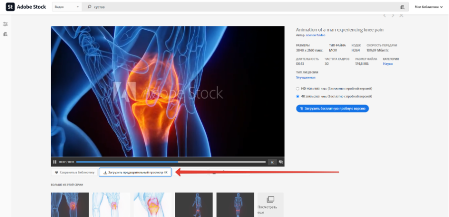 Пример загрузки видео в фотостоке Adobe Stock