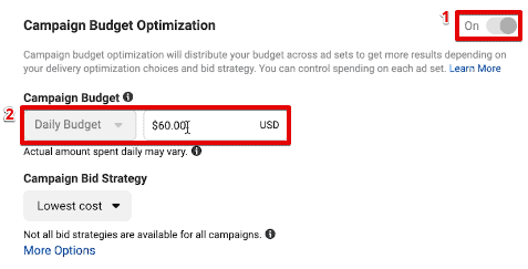 Utilizing the Campaign Budget Optimization option to set the daily campaign budget Utilizing the Campaign Budget Optimization option to set the daily campaign budget