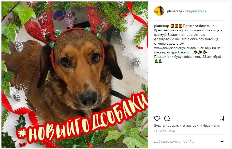 insta-new-year-konkurs-pets.jpg