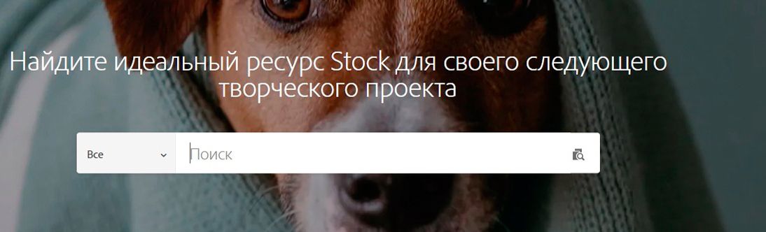Главная страница Adobe Stock Главная страница Adobe Stock