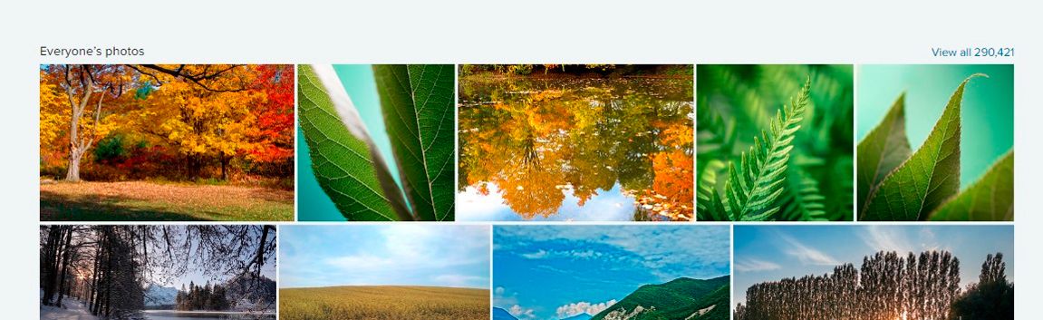Изображения в Flickr Изображения в Flickr