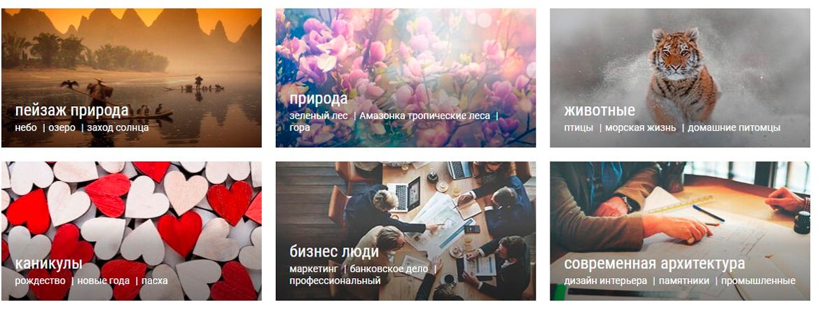 Изображения в DreamsTime Изображения в DreamsTime