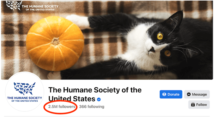 how to optimize facebook ads - humane society's facebook page with follower count how to optimize facebook ads - humane society's facebook page with follower count