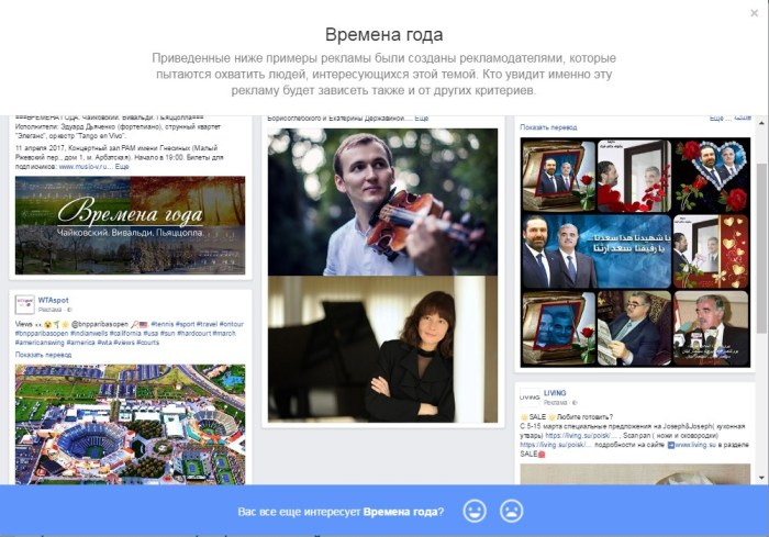 07-kak-sobrat-informaciyu-o-celevoy-auditorii---nastroyki-interesuyushchey-reklamy-primer-2.png